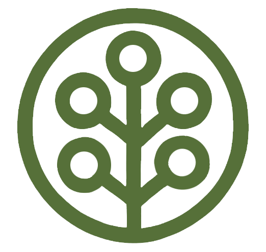 Forest Therapy Guide in Cambria, California