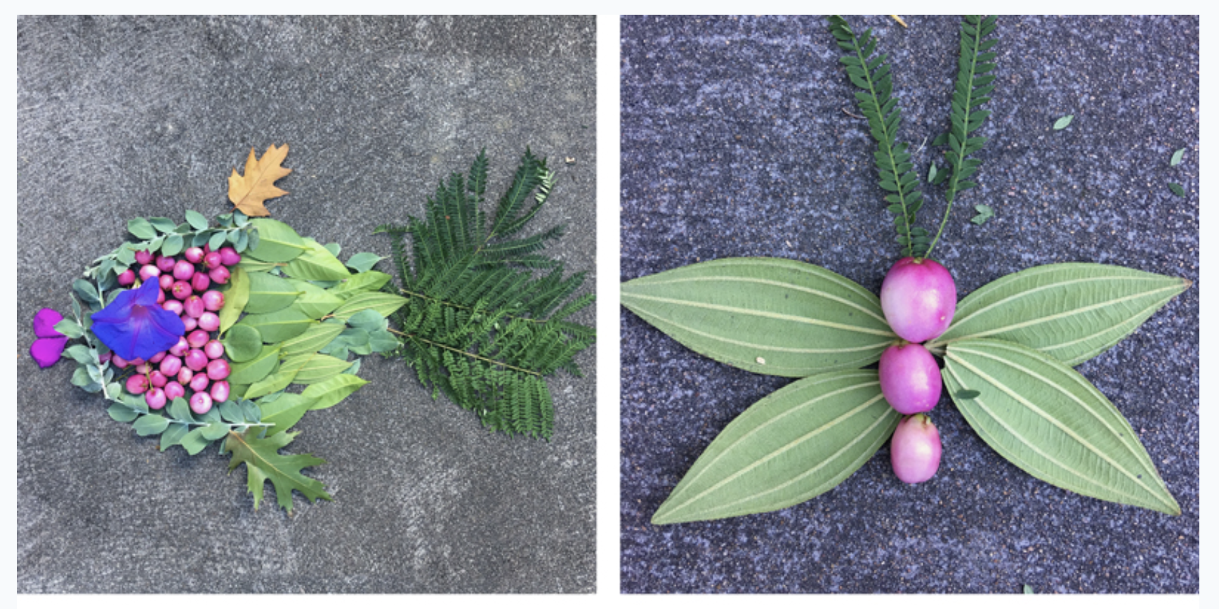 Nature is Art…. so collect some…